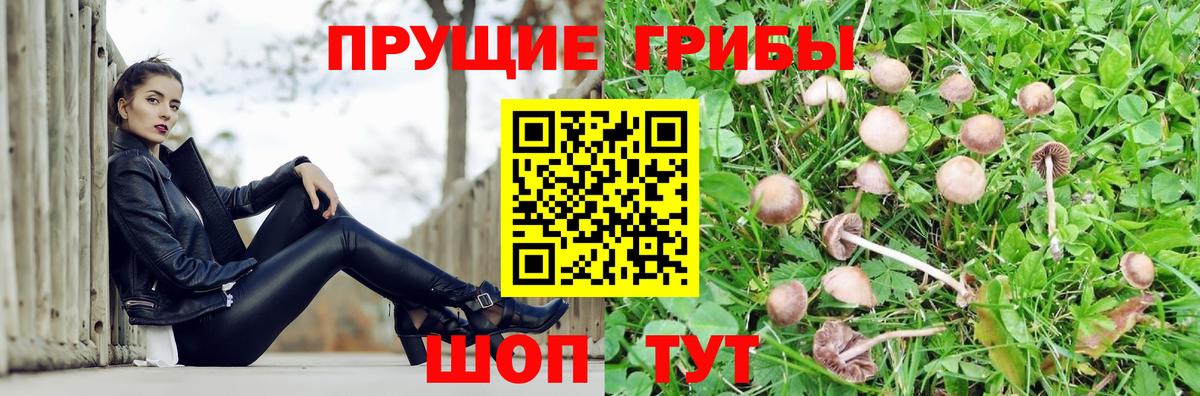 Псилоцибиновые грибы ЛСД Ярцево