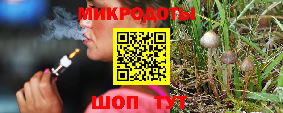 Псилоцибиновые грибы MAGIC MUSHROOMS  Вход с VPN  Ярцево  Галлюциногенные грибы мицелий 